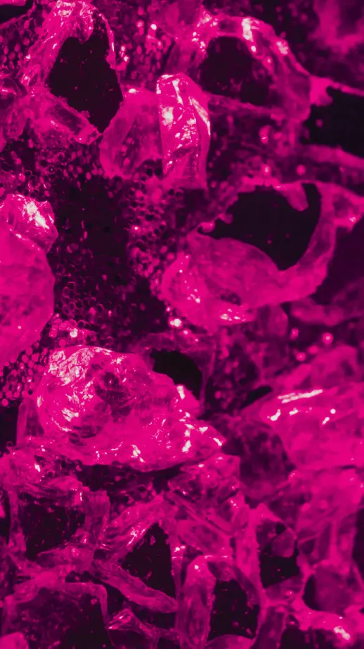 Technology - IP licensing & infrastructure.