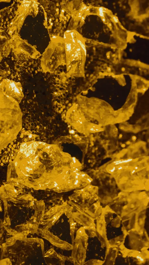 Growth - Multi-industry expansion.